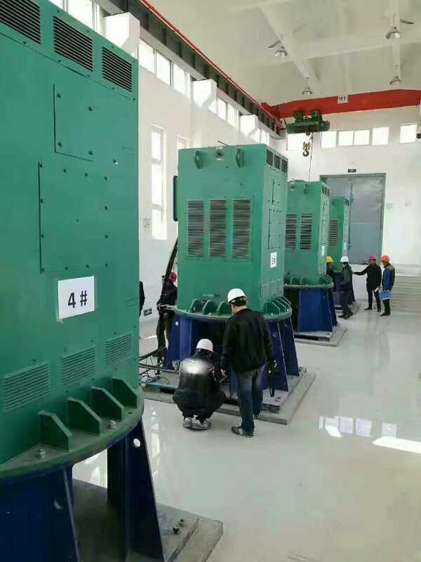 Y4503-2某污水处理厂使用我厂的立式高压电机安装现场