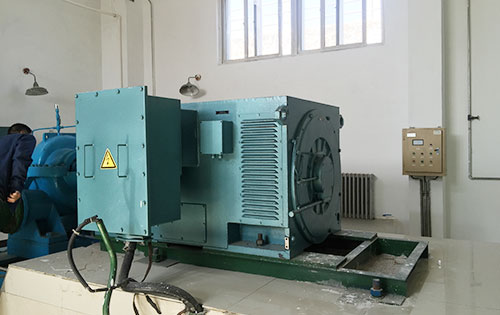 Y4503-2某水电站工程主水泵使用我公司高压电机一年质保