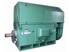 Y4503-2Y系列6KV高压电机