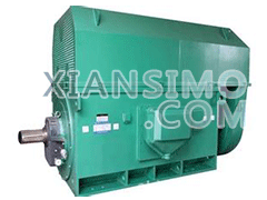 Y4503-2YXKK(2极)高效高压电机技术参数